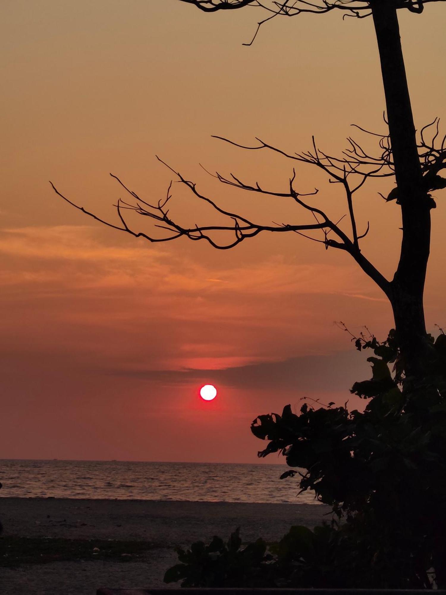 Jeehaa Homestay Alappuzha ภายนอก รูปภาพ