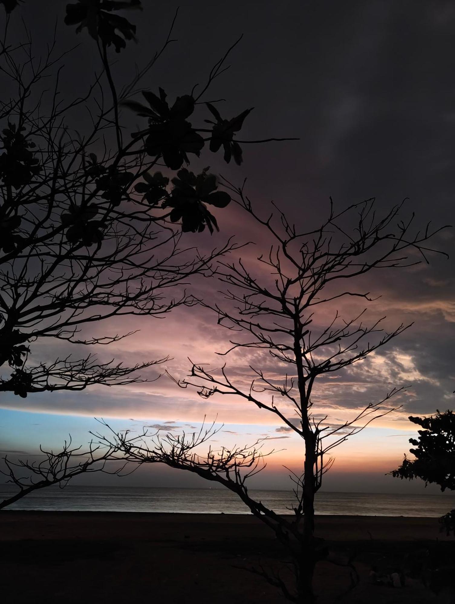 Jeehaa Homestay Alappuzha ภายนอก รูปภาพ